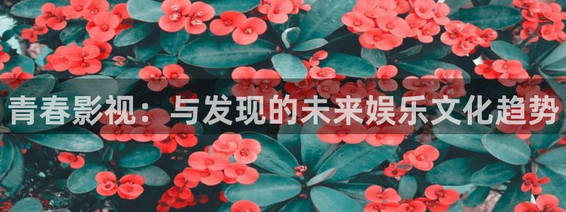 采摘樱桃视频：青春影视：与发现的未来娱乐文化趋势