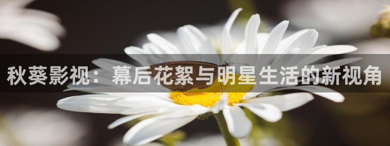 樱桃视频黄视频：秋葵影视：幕后花絮与明星生活的新视角
