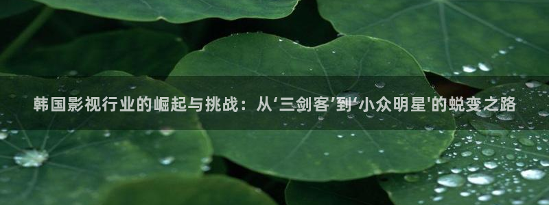樱桃视频app污免费下载观看