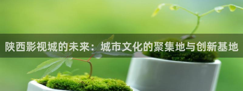 樱桃果园视频：陕西影视城的未来：城市文化的聚集地与创新基地