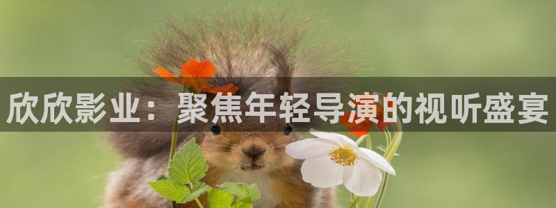 樱桃影院在线观看视频：欣欣影业：聚焦年轻导演的视听盛宴