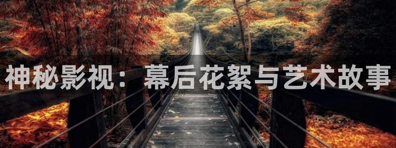 樱桃视频进入网站