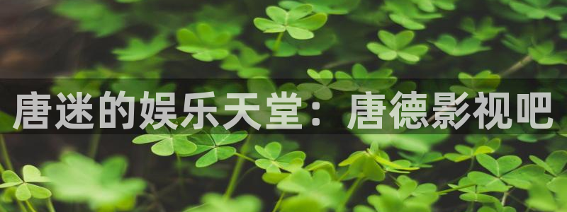 91樱桃视频下载：唐迷的娱乐天堂：唐德影视吧